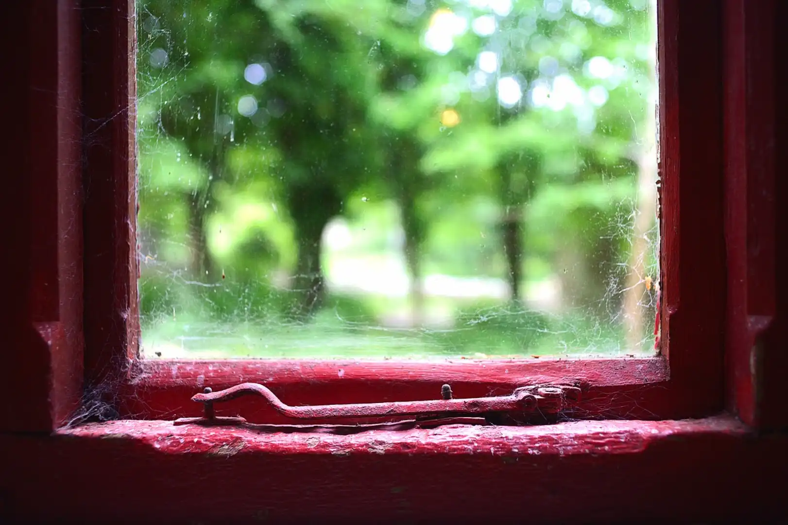 Paqual Canet - Imagen de ventana