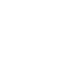 Icono 5